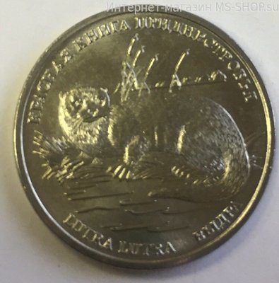 Монета ПМР 1 рубль "Выдра", AU, 2018