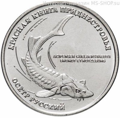 Монета Приднестровья 1 рубль "Осётр русский", AU, 2018