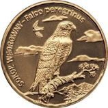 Монета Польши 2 Злотых, "Сапсан" AU, 2008
